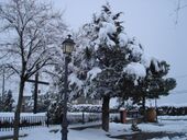 Поликар