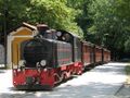 Pilionbahn in milies.JPG