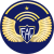 Tecnico primero fuerza aerea.svg