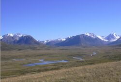 Ukok Ak-Alakha.jpg