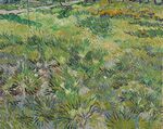 Van Gogh - Wiese im Garten des Hospitals Saint-Paul.jpeg