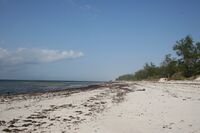 Watamu Beach, Kenya.JPG