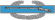 Combat Infantry Badge.svg