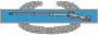 Combat Infantry Badge.svg
