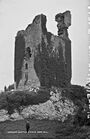Dangan Castle Clare.jpg