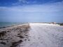 Honeymoon island, fl001.jpg