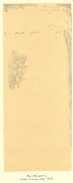 Рослина. Начерк .jpg