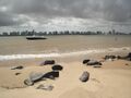 Aracaju visto de Barra dos Coqueiros.jpg