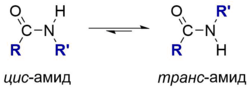 Cis-trans-amides.png