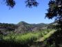 Gaviota west.jpg