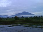 Gunung Arjuno 01.jpg