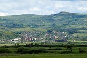 Селеница