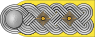 WMacht Lw OF5 Oberst h 1945.svg