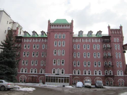 Здание мельницы ул Чернышевского 90.jpg