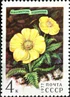 Почтовая марка СССР № 4698. 1977. Цветы гор Сибири.jpg