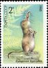 Почтовая марка СССР № 5658. 1985. Животные Красной книги СССР.jpg