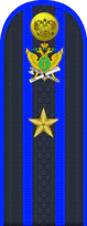 13.погон ФССП - майор.png