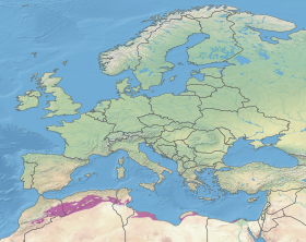 Ecoregion PA1213.svg