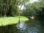 IchetuckneeRiv2006.jpg