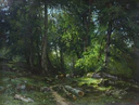 Ivan Shishkin. In the forest.jpg