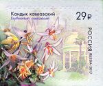 RUSMARKA-2209.jpg