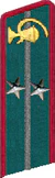 петлица 1937