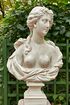 Санкт-Петербург, Летний сад. Бюст «Флора» 2.jpg
