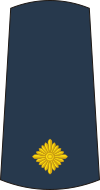 09-Serbian Air Force-SLT.svg