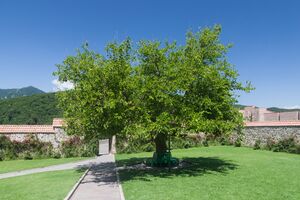 2014 Górski Karabach, Klasztor Gandzasar (03).jpg