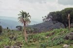 Bale mountains.jpg