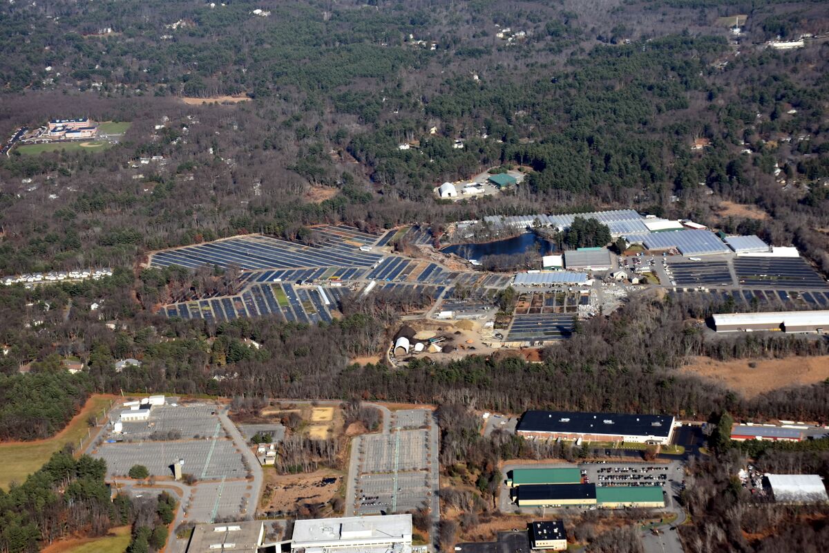 Cavicchio Greenhouses Raytheon Sudbury MA.JPG