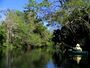 Paddling on the Hillsborough River.jpg