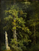 Pine forest. Study (Shishkin).jpg