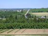 Raspberry farm.jpg