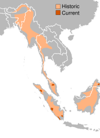 Sumatran Rhino range.svg