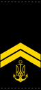 UANs shoulder mark 03.svg