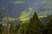 Vedat de Xixerella (la Massana) - 9.jpg