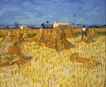 Vincent Van Gogh - Corn Harvest in Provence - Google Art Project.jpg