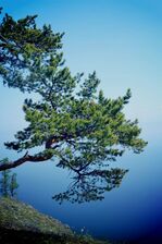 озеро Байкал