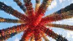 Угруан.jpg