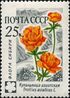 1960 CPA 2496.jpg