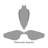 20210516 Radiodonta head sclerites Pahvantia hastata.png
