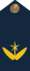 AvMayor.png