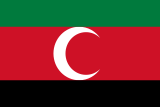 Флаг (1916)