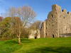 Oxwich Castle 4.jpg