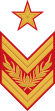 Маршал Советского Союза