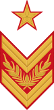 петлица ркм 1936