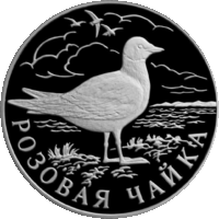 RR5109-0041R Розовая чайка.gif