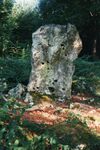 Chambain Le Cheval gris.jpg
