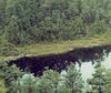 Ell Pond-Rhode Island kettle hole.jpeg